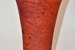 April South Puget sound wood turners meeting 058_edited-1