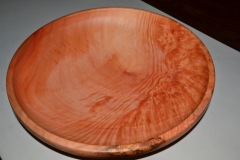 April South Puget sound wood turners meeting 096