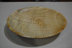 April South Puget sound wood turners meeting 104