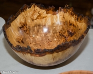 DSC_7039-L