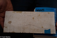 DSC_3592-M
